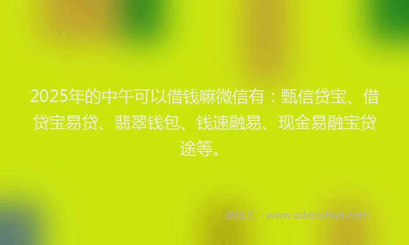 2025年的中午可以借钱嘛微信有：甄信贷宝、借贷宝易贷、翡翠钱包、钱速融易、现金易融宝贷途等。