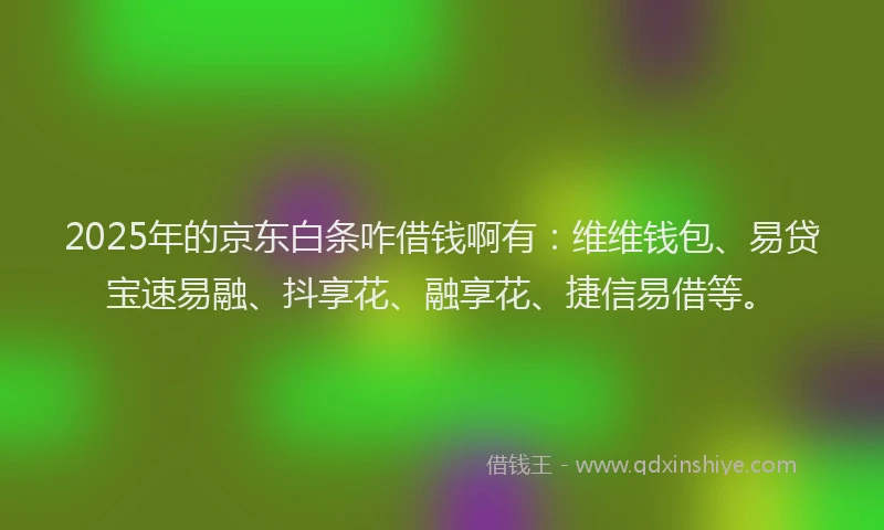 2025年的京东白条咋借钱啊有：维维钱包、易贷宝速易融、抖享花、融享花、捷信易借等。
