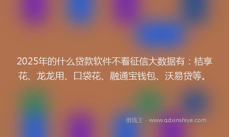 2025年的什么贷款软件不看征信大数据有：桔享花、龙龙用、口袋花、融通宝钱包、沃易贷等。