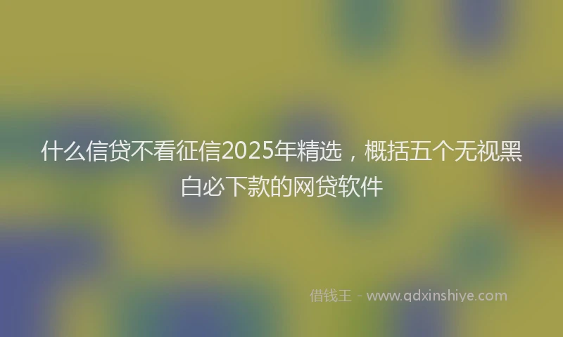 什么信贷不看征信2025年精选，概括五个无视黑白必下款的网贷软件