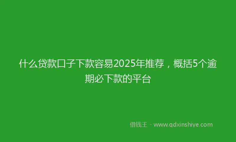 什么贷款口子下款容易2025年推荐，概括5个逾期必下款的平台