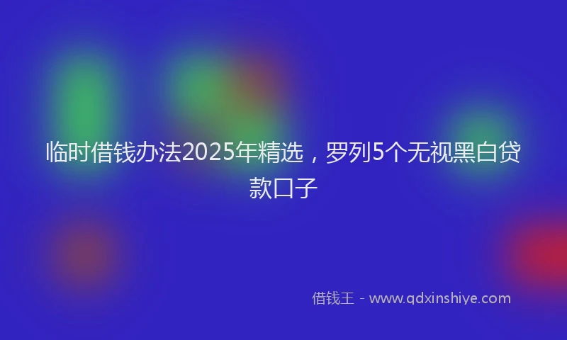 临时借钱办法2025年精选，罗列5个无视黑白贷款口子