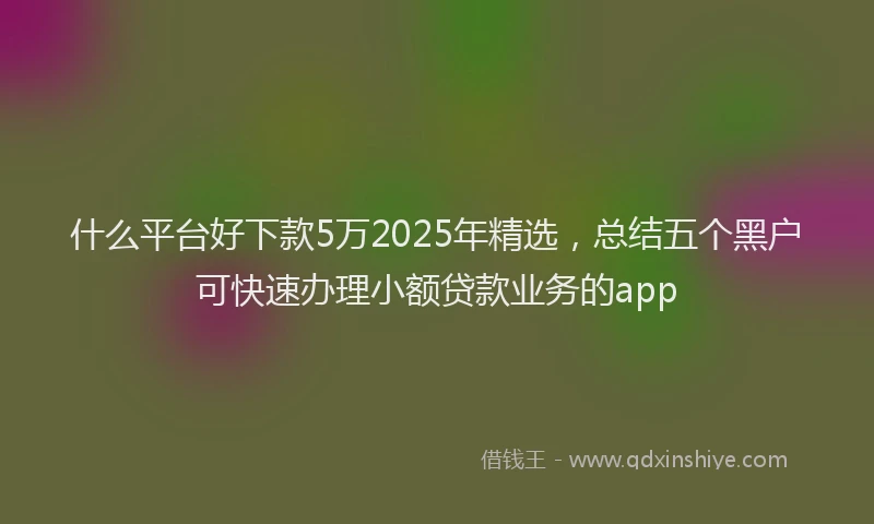 什么平台好下款5万2025年精选，总结五个黑户可快速办理小额贷款业务的app