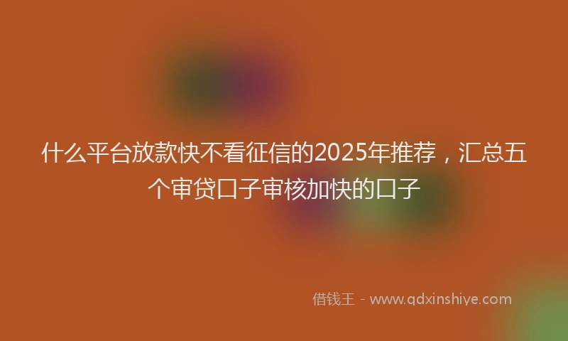 什么平台放款快不看征信的2025年推荐，汇总五个审贷口子审核加快的口子