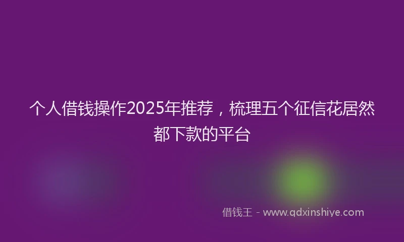 个人借钱操作2025年推荐，梳理五个征信花居然都下款的平台