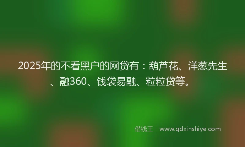 2025年的不看黑户的网贷有：葫芦花、洋葱先生、融360、钱袋易融、粒粒贷等。
