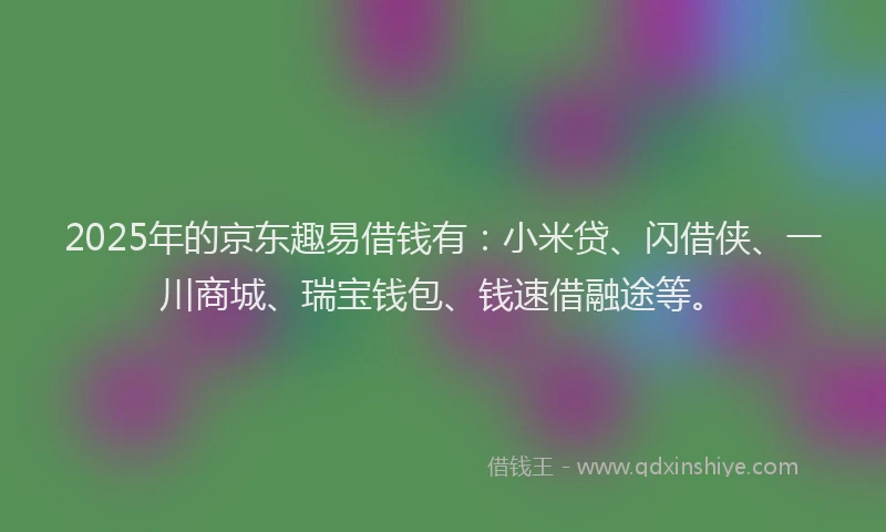 2025年的京东趣易借钱有：小米贷、闪借侠、一川商城、瑞宝钱包、钱速借融途等。