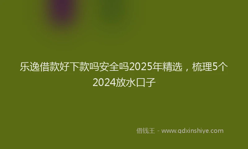 乐逸借款好下款吗安全吗2025年精选，梳理5个2024放水口子