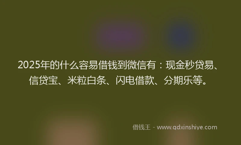 2025年的什么容易借钱到微信有：现金秒贷易、信贷宝、米粒白条、闪电借款、分期乐等。