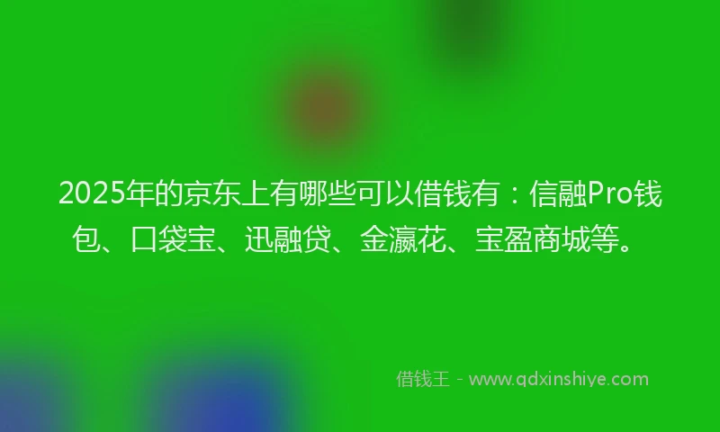 2025年的京东上有哪些可以借钱有：信融Pro钱包、口袋宝、迅融贷、金瀛花、宝盈商城等。