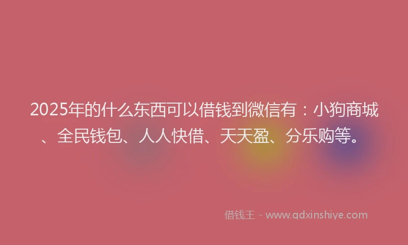 2025年的什么东西可以借钱到微信有：小狗商城、全民钱包、人人快借、天天盈、分乐购等。