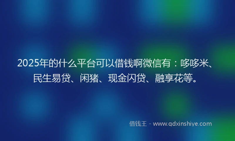 2025年的什么平台可以借钱啊微信有：哆哆米、民生易贷、闲猪、现金闪贷、融享花等。