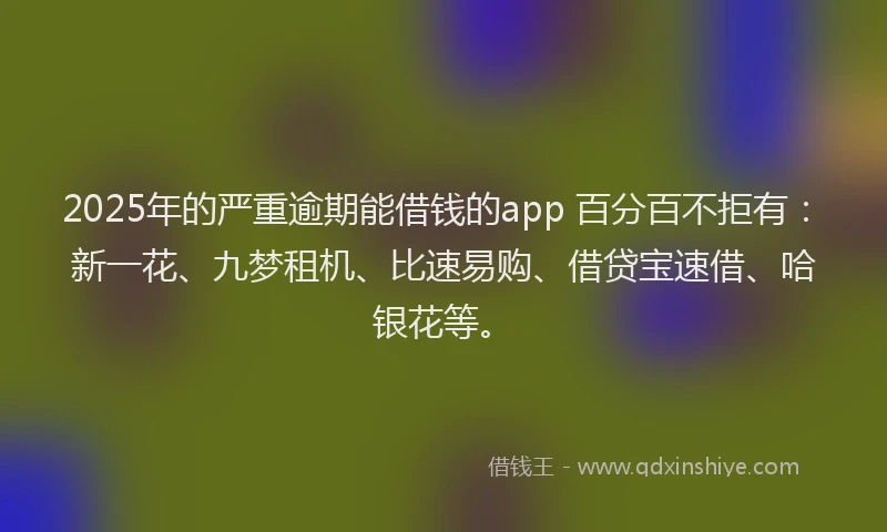 2025年的严重逾期能借钱的app 百分百不拒有：新一花、九梦租机、比速易购、借贷宝速借、哈银花等。