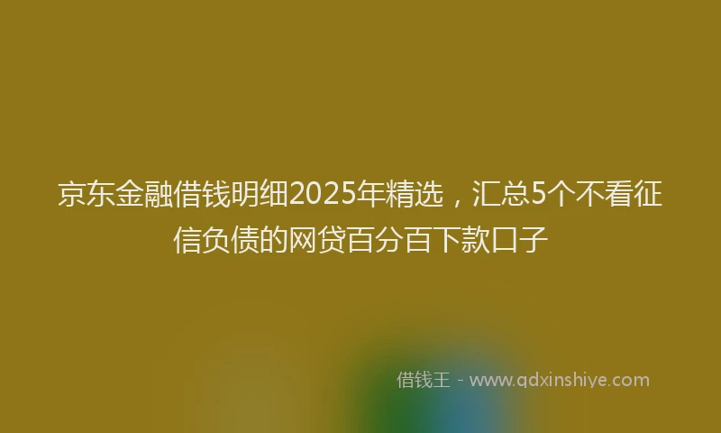 京东金融借钱明细2025年精选，汇总5个不看征信负债的网贷百分百下款口子