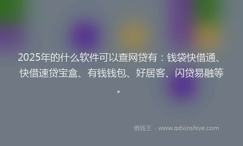 2025年的什么软件可以查网贷有：钱袋快借通、快借速贷宝盒、有钱钱包、好居客、闪贷易融等。