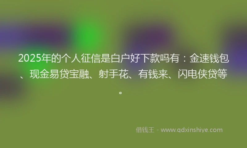 2025年的个人征信是白户好下款吗有：金速钱包、现金易贷宝融、射手花、有钱来、闪电侠贷等。