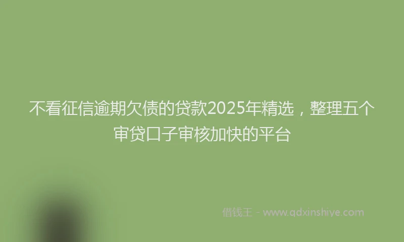 不看征信逾期欠债的贷款2025年精选，整理五个审贷口子审核加快的平台