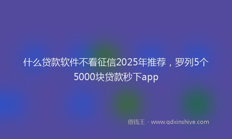 什么贷款软件不看征信2025年推荐，罗列5个5000块贷款秒下app