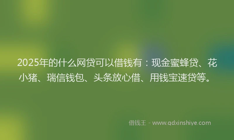 2025年的什么网贷可以借钱有：现金蜜蜂贷、花小猪、瑞信钱包、头条放心借、用钱宝速贷等。