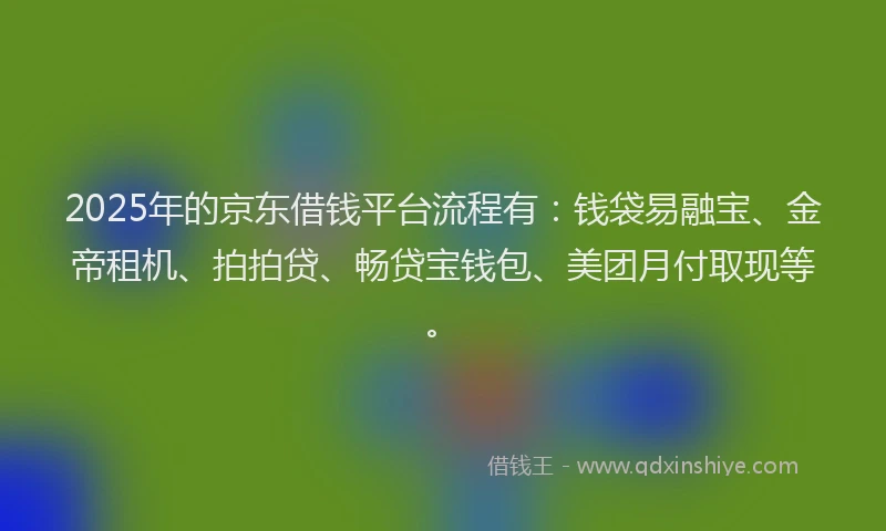 2025年的京东借钱平台流程有：钱袋易融宝、金帝租机、拍拍贷、畅贷宝钱包、美团月付取现等。