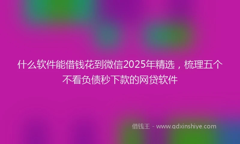 什么软件能借钱花到微信2025年精选，梳理五个不看负债秒下款的网贷软件