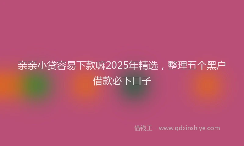 亲亲小贷容易下款嘛2025年精选，整理五个黑户借款必下口子