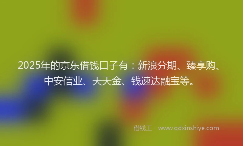 2025年的京东借钱口子有：新浪分期、臻享购、中安信业、天天金、钱速达融宝等。