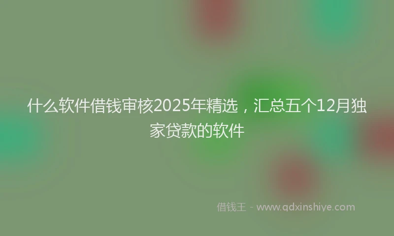 什么软件借钱审核2025年精选，汇总五个12月独家贷款的软件
