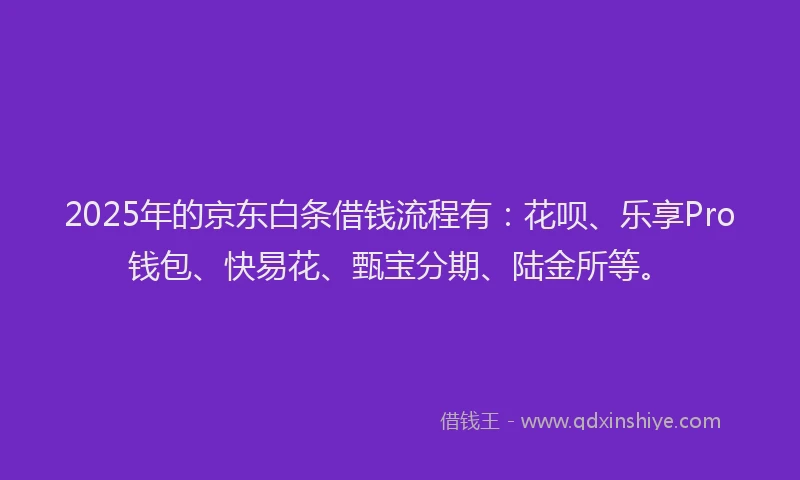 2025年的京东白条借钱流程有：花呗、乐享Pro钱包、快易花、甄宝分期、陆金所等。