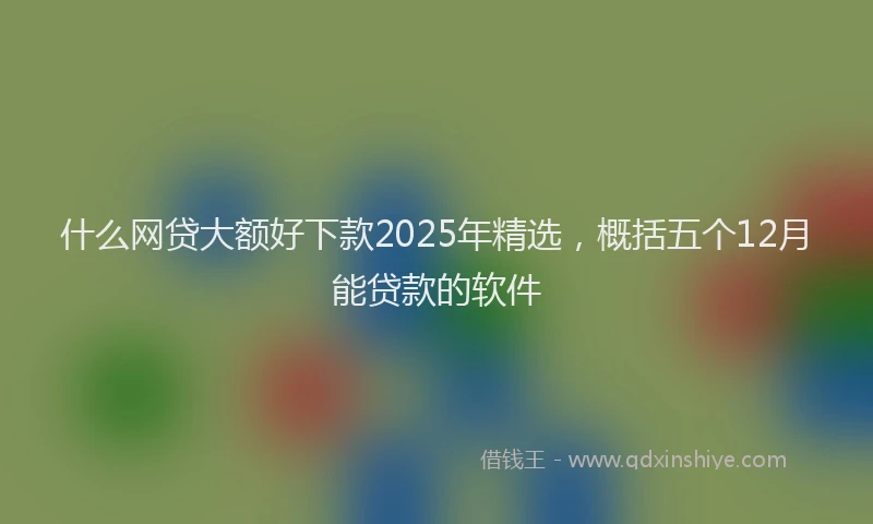 什么网贷大额好下款2025年精选，概括五个12月能贷款的软件