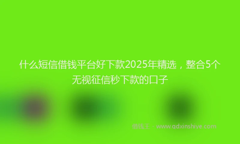 什么短信借钱平台好下款2025年精选，整合5个无视征信秒下款的口子