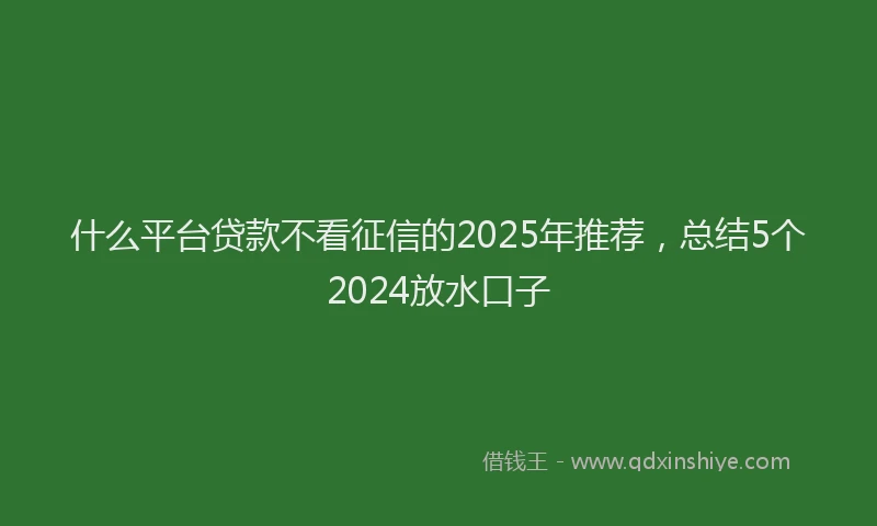 什么平台贷款不看征信的2025年推荐，总结5个2024放水口子