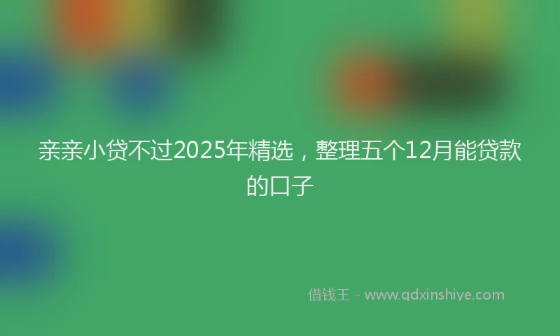 亲亲小贷不过2025年精选，整理五个12月能贷款的口子