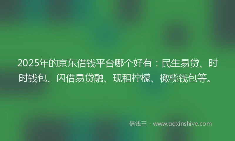 2025年的京东借钱平台哪个好有：民生易贷、时时钱包、闪借易贷融、现租柠檬、橄榄钱包等。