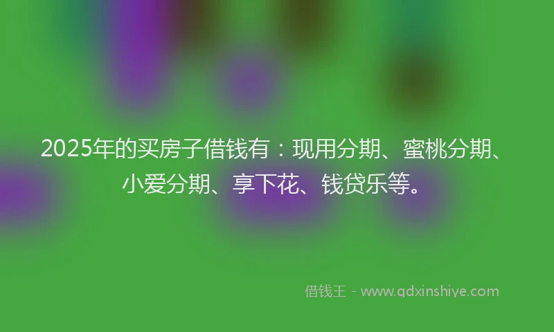 2025年的买房子借钱有：现用分期、蜜桃分期、小爱分期、享下花、钱贷乐等。