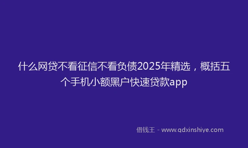 什么网贷不看征信不看负债2025年精选，概括五个手机小额黑户快速贷款app