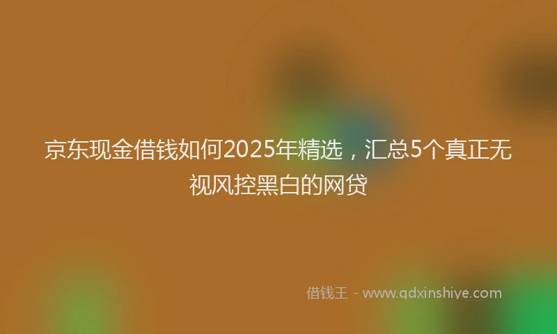 京东现金借钱如何2025年精选，汇总5个真正无视风控黑白的网贷