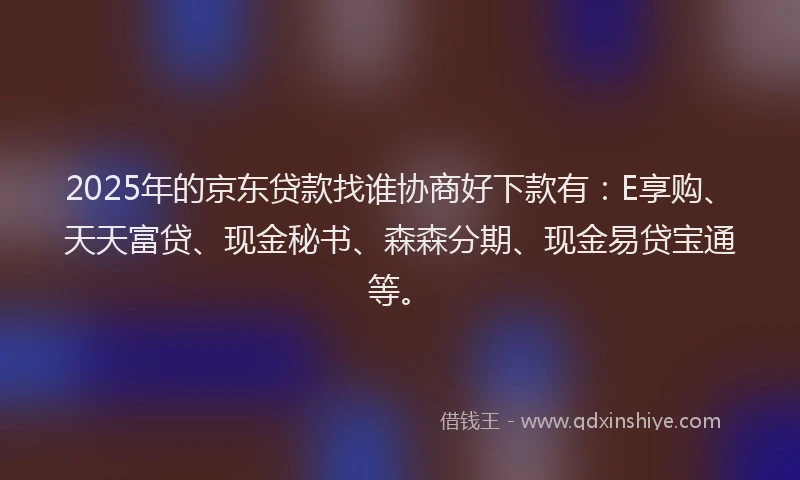 2025年的京东贷款找谁协商好下款有：E享购、天天富贷、现金秘书、森森分期、现金易贷宝通等。