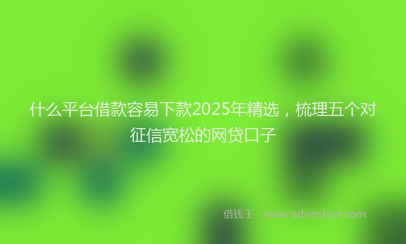 什么平台借款容易下款2025年精选，梳理五个对征信宽松的网贷口子