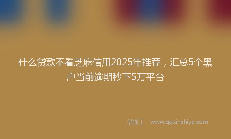 什么贷款不看芝麻信用2025年推荐，汇总5个黑户当前逾期秒下5万平台