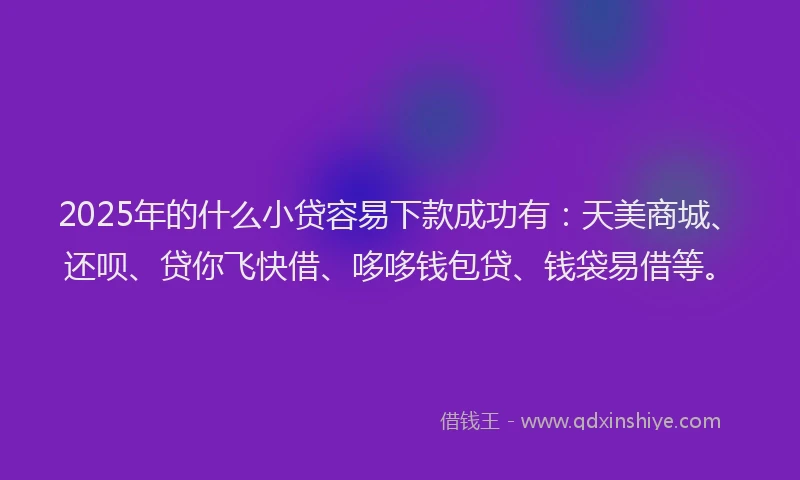 2025年的什么小贷容易下款成功有：天美商城、还呗、贷你飞快借、哆哆钱包贷、钱袋易借等。