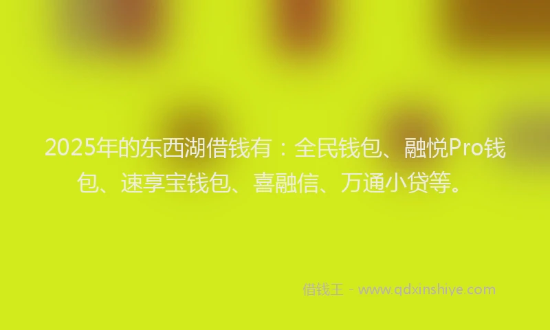 2025年的东西湖借钱有：全民钱包、融悦Pro钱包、速享宝钱包、喜融信、万通小贷等。