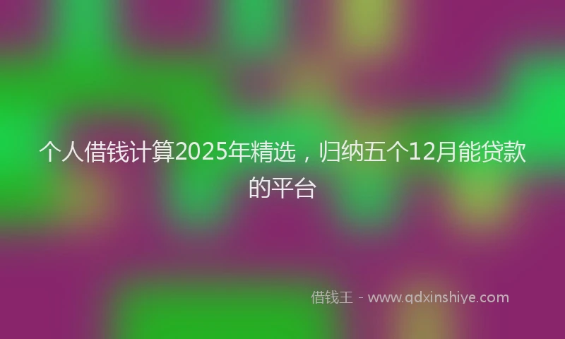 个人借钱计算2025年精选，归纳五个12月能贷款的平台