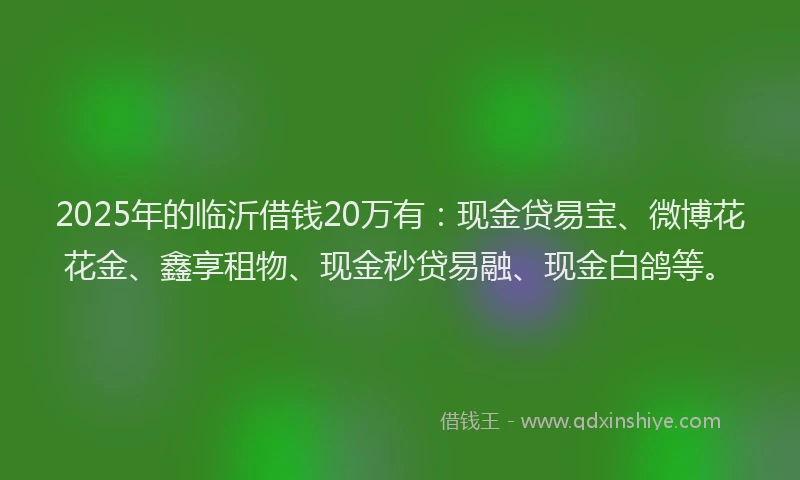 2025年的临沂借钱20万有：现金贷易宝、微博花花金、鑫享租物、现金秒贷易融、现金白鸽等。