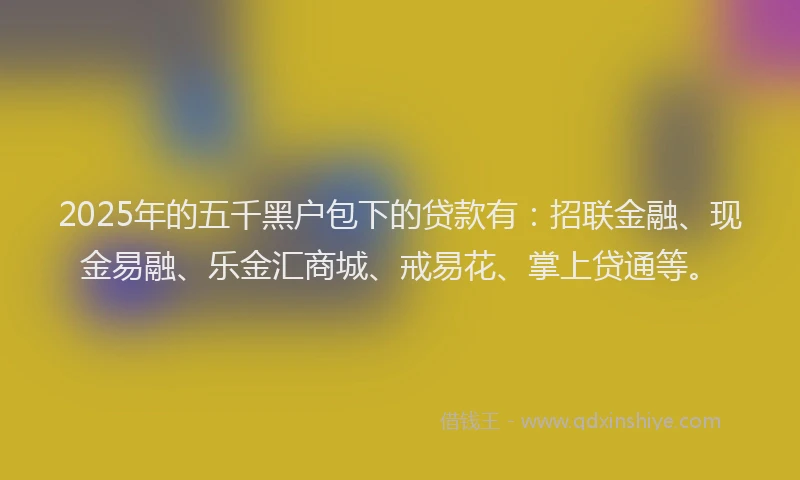 2025年的五千黑户包下的贷款有：招联金融、现金易融、乐金汇商城、戒易花、掌上贷通等。