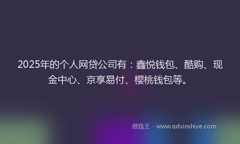 2025年的个人网贷公司有：鑫悦钱包、酷购、现金中心、京享易付、樱桃钱包等。