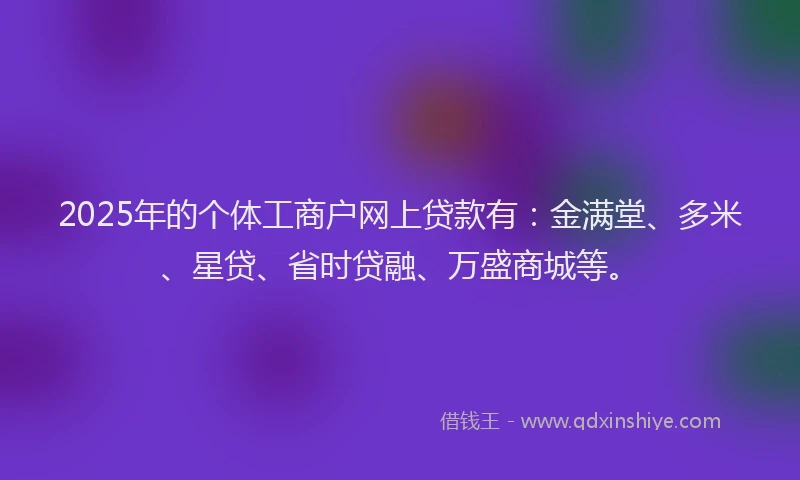 2025年的个体工商户网上贷款有：金满堂、多米、星贷、省时贷融、万盛商城等。