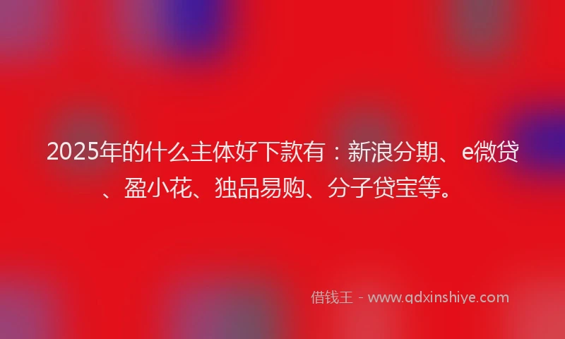 2025年的什么主体好下款有：新浪分期、e微贷、盈小花、独品易购、分子贷宝等。