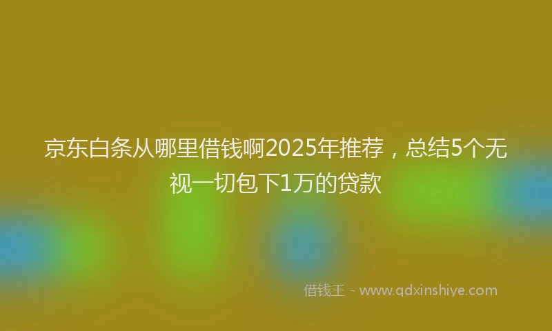 京东白条从哪里借钱啊2025年推荐，总结5个无视一切包下1万的贷款
