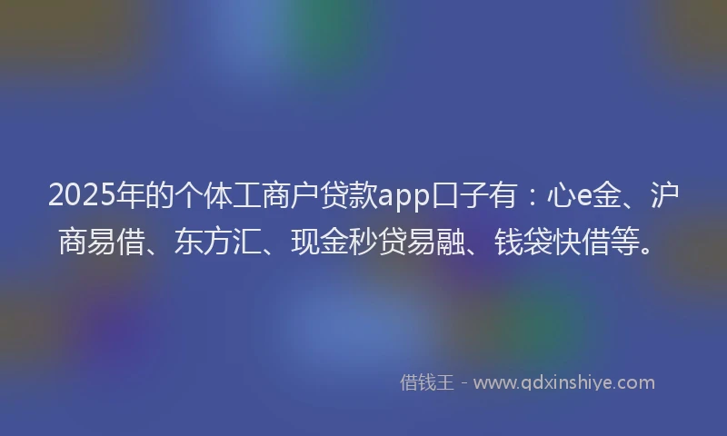 2025年的个体工商户贷款app口子有：心e金、沪商易借、东方汇、现金秒贷易融、钱袋快借等。